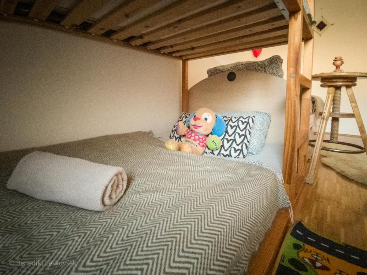 Panorama Glamping Visole Hotel Slovenska Bistrica Ngoại thất bức ảnh