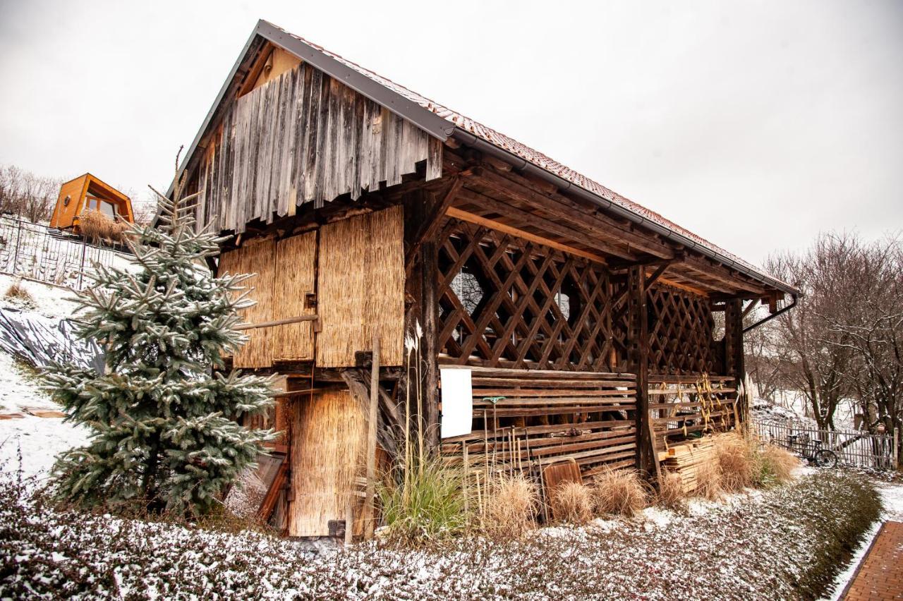 Panorama Glamping Visole Hotel Slovenska Bistrica Ngoại thất bức ảnh