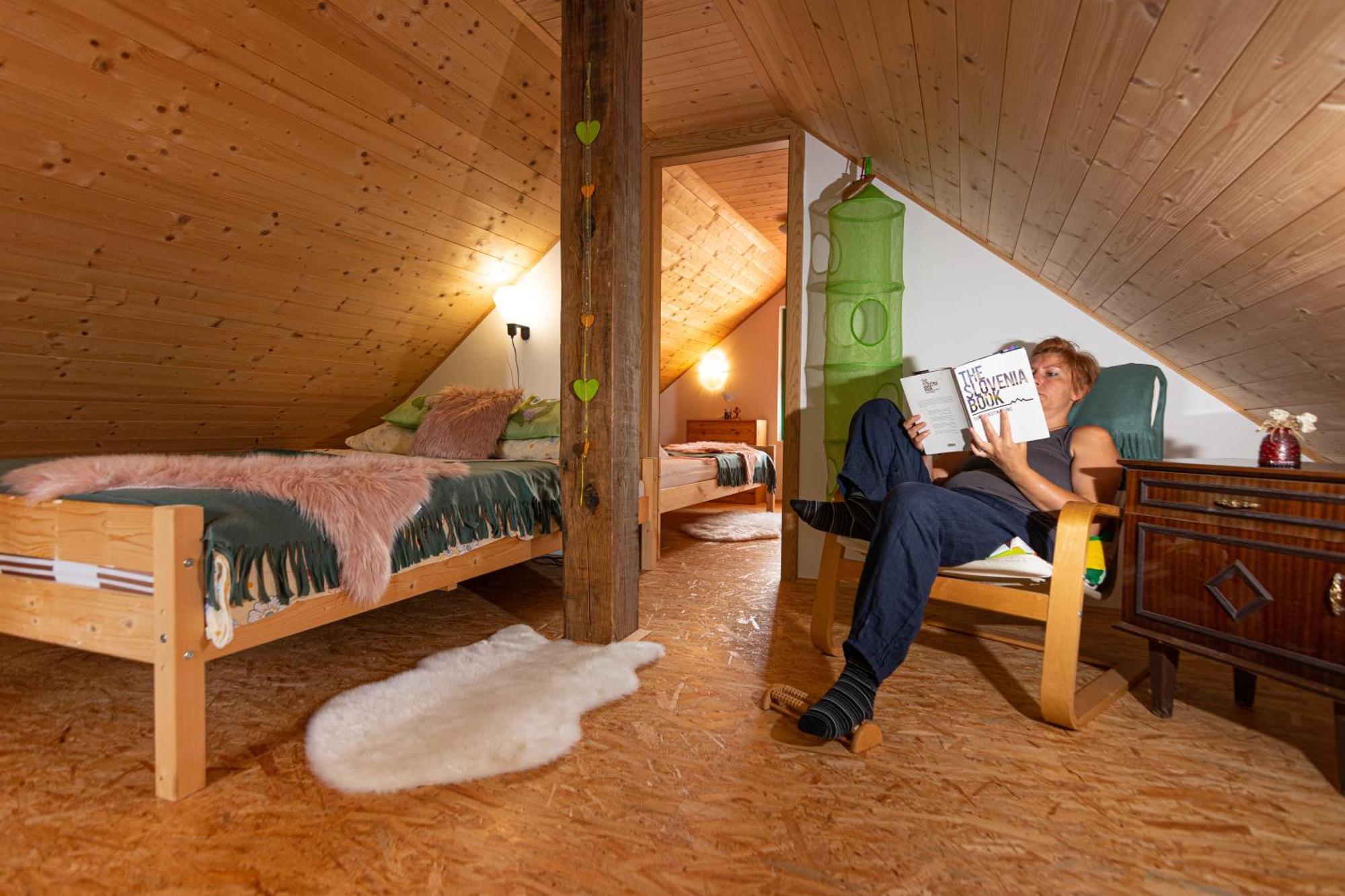 Panorama Glamping Visole Hotel Slovenska Bistrica Phòng bức ảnh