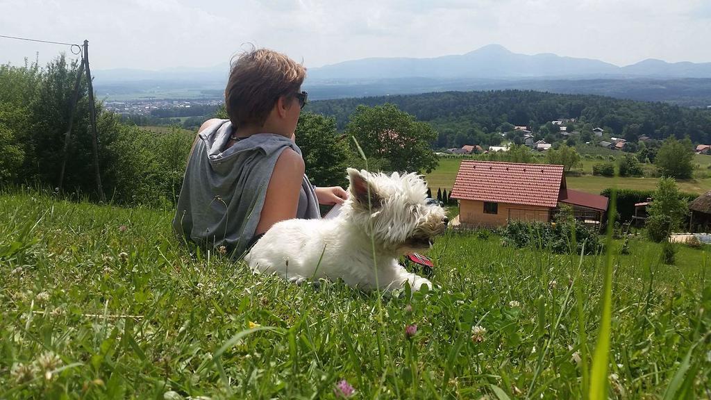 Panorama Glamping Visole Hotel Slovenska Bistrica Ngoại thất bức ảnh