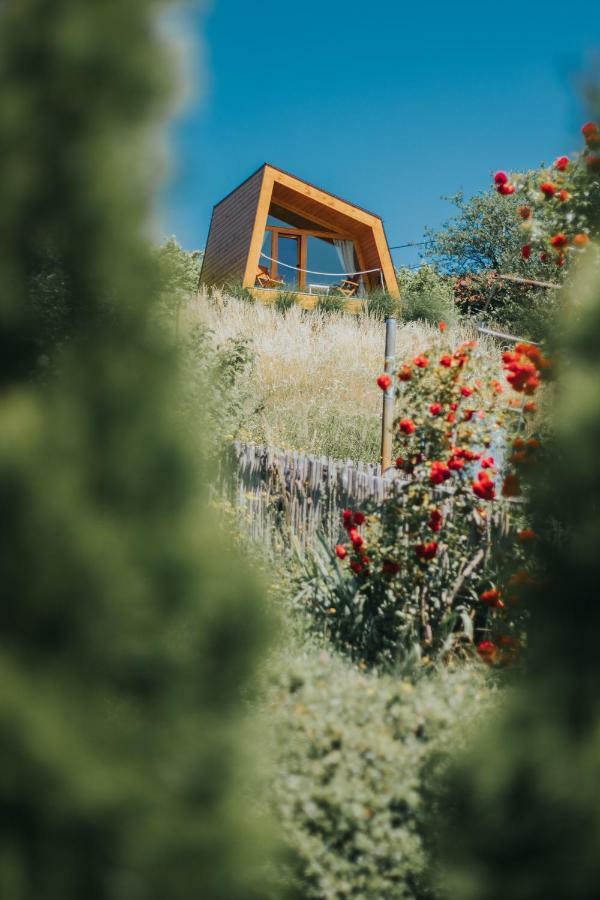 Panorama Glamping Visole Hotel Slovenska Bistrica Ngoại thất bức ảnh